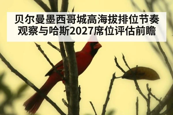 贝尔曼墨西哥城高海拔排位节奏观察与哈斯2027席位评估前瞻（jiuyou）